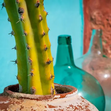 Casa Luna Πανσιόν Agaete (Gran Canaria)